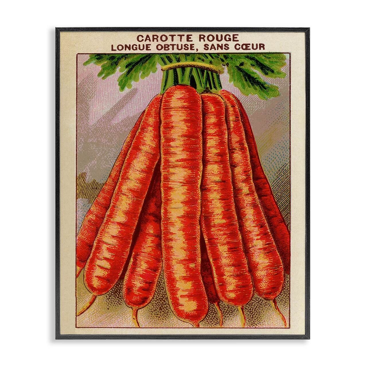 Stupell Industries Country Vintage Carrots Framed Giclee Design by Lil' Rue